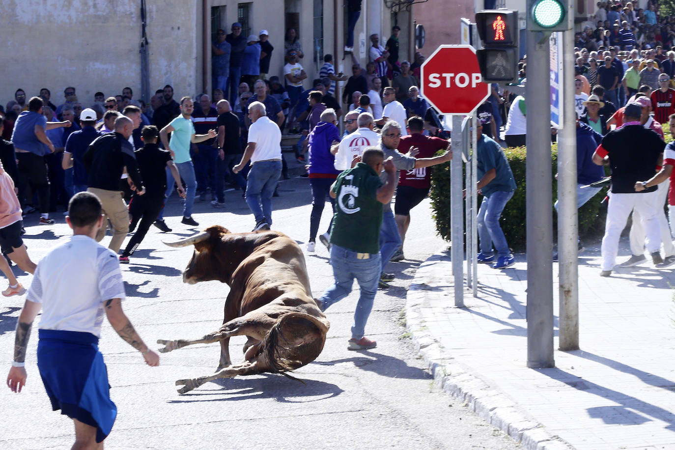 Las imágenes del encierro en Arrabal de Portillo