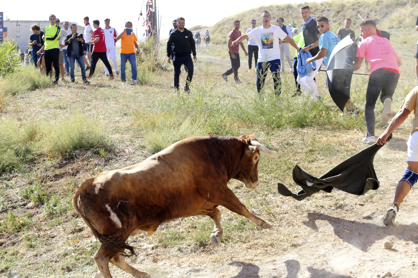 Las imágenes del encierro en Arrabal de Portillo