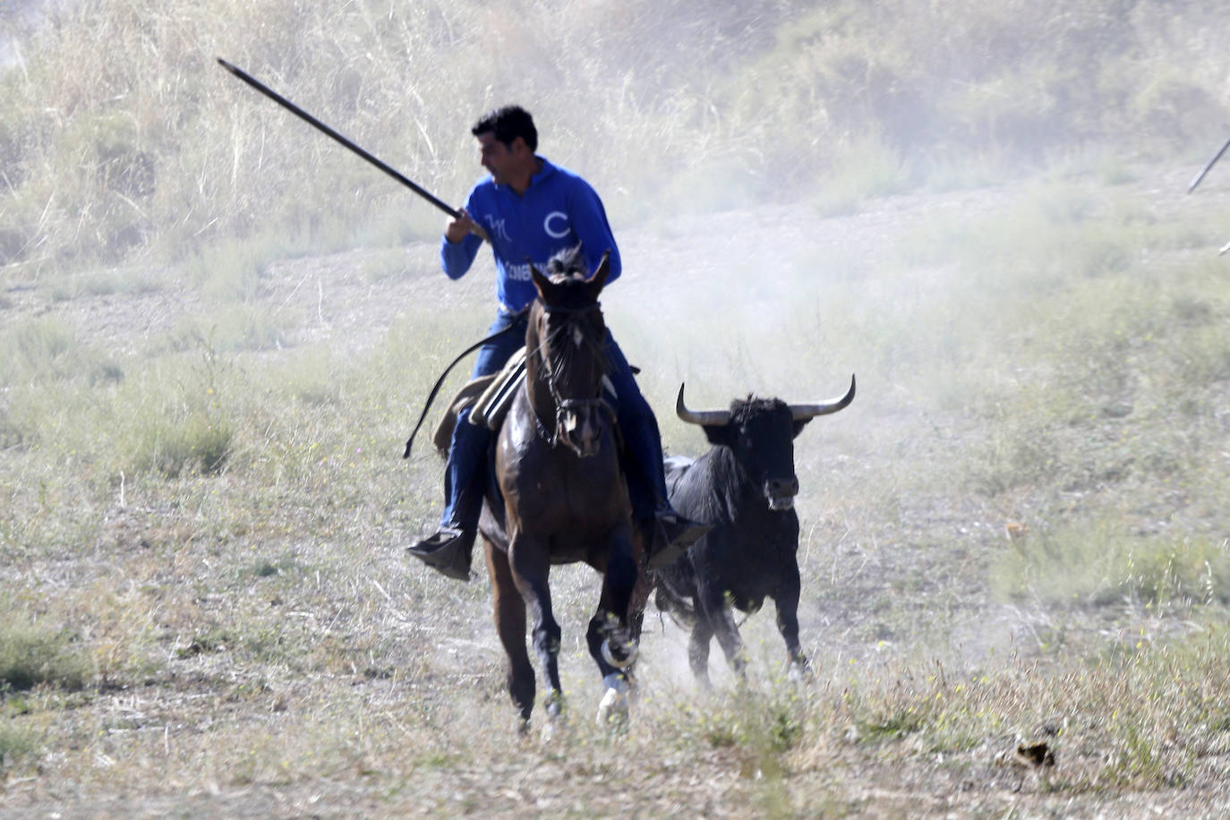 Las imágenes del encierro en Arrabal de Portillo