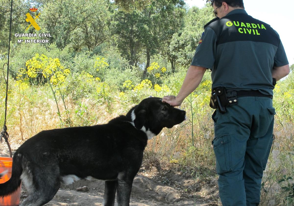 Agente de la Guardia Civil, junto a un perro.