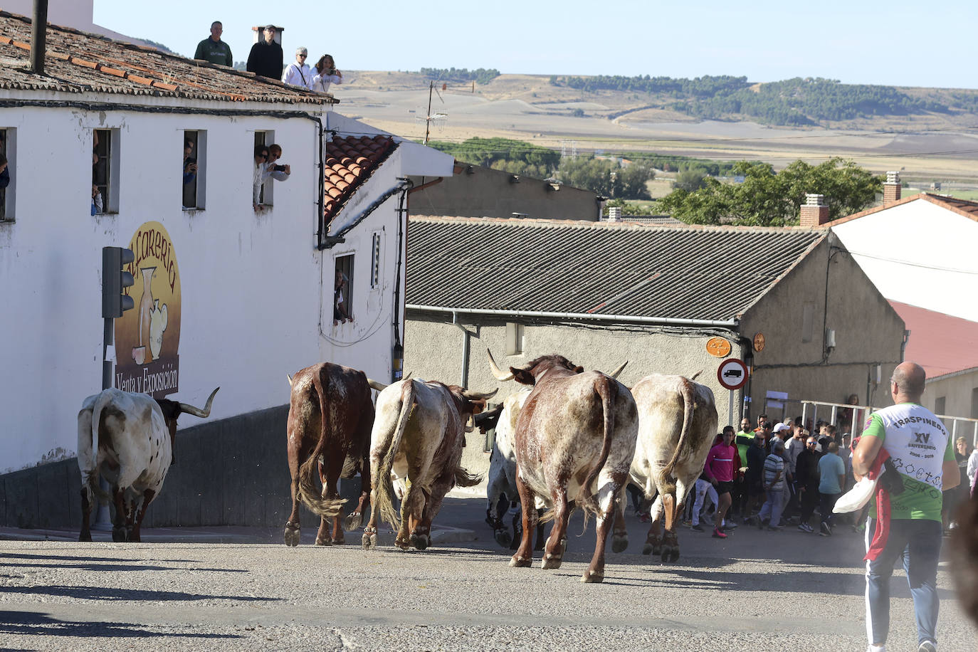 Las imágenes del encierro campero de Arrabal de Portillo