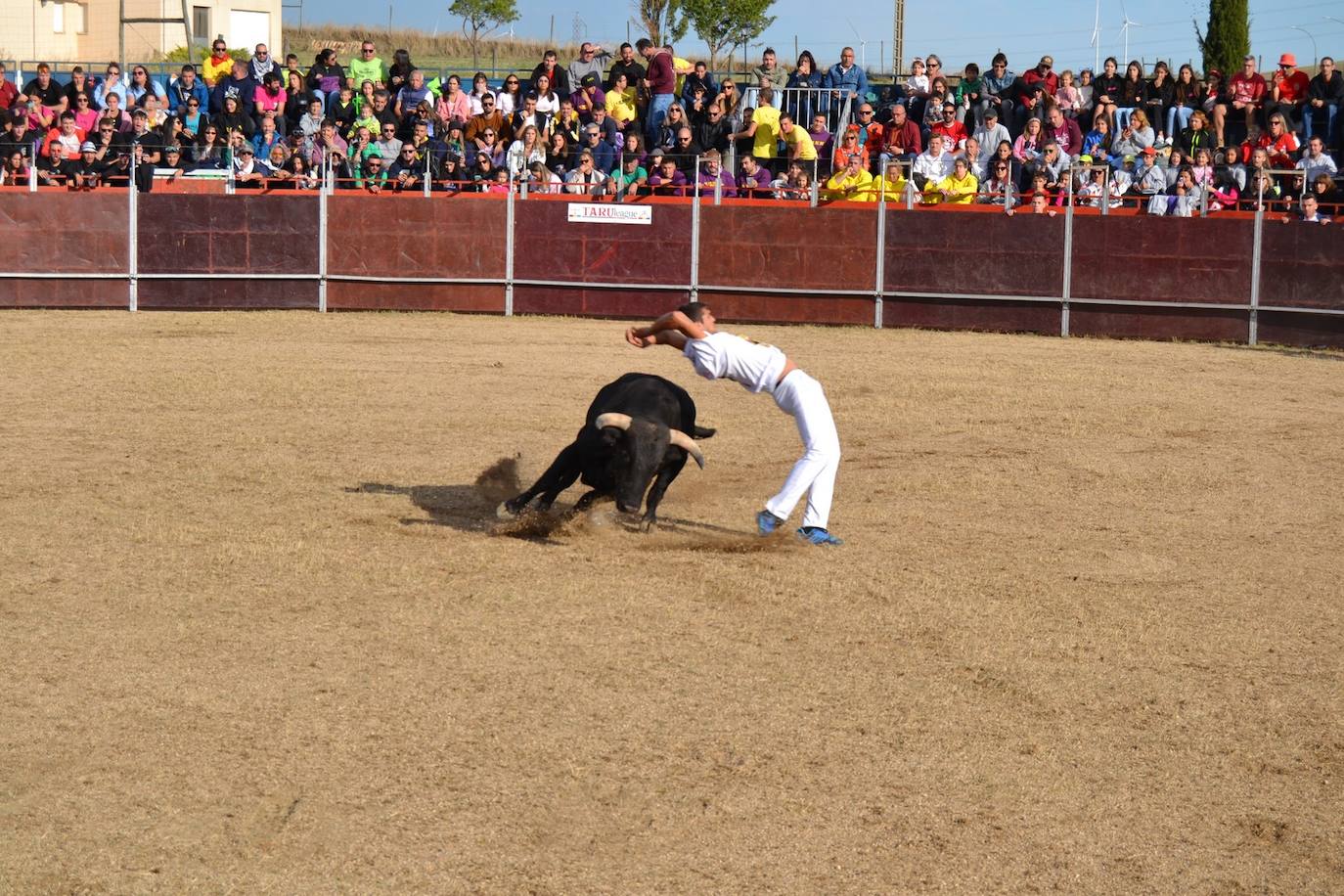 Así lo pasan en Astudillo en las Ferias y Fiestas de la Santa Cruz