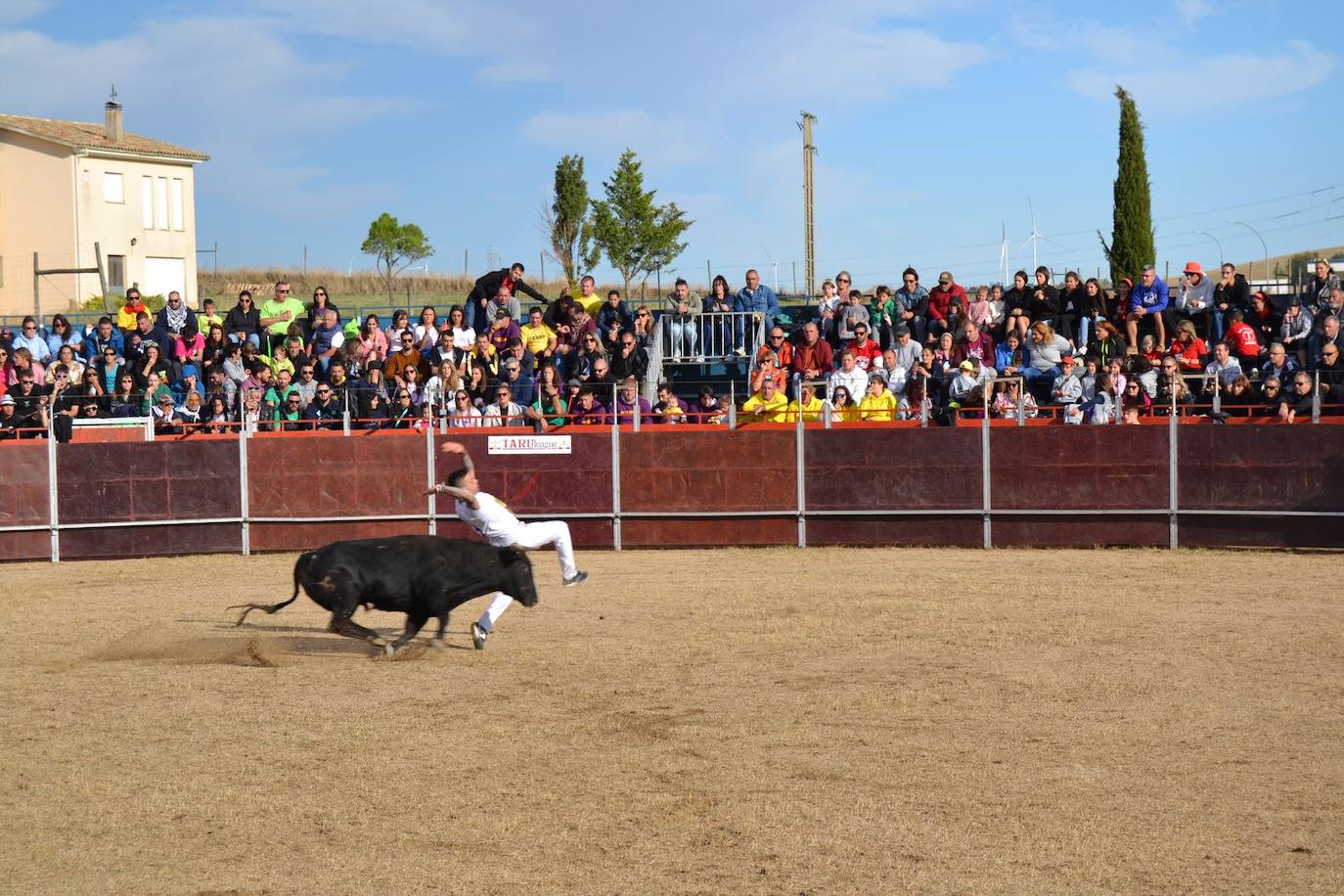 Así lo pasan en Astudillo en las Ferias y Fiestas de la Santa Cruz