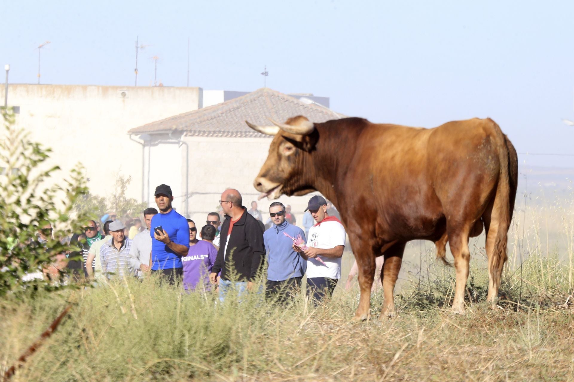 El último encierro de Arrabal, en imágenes