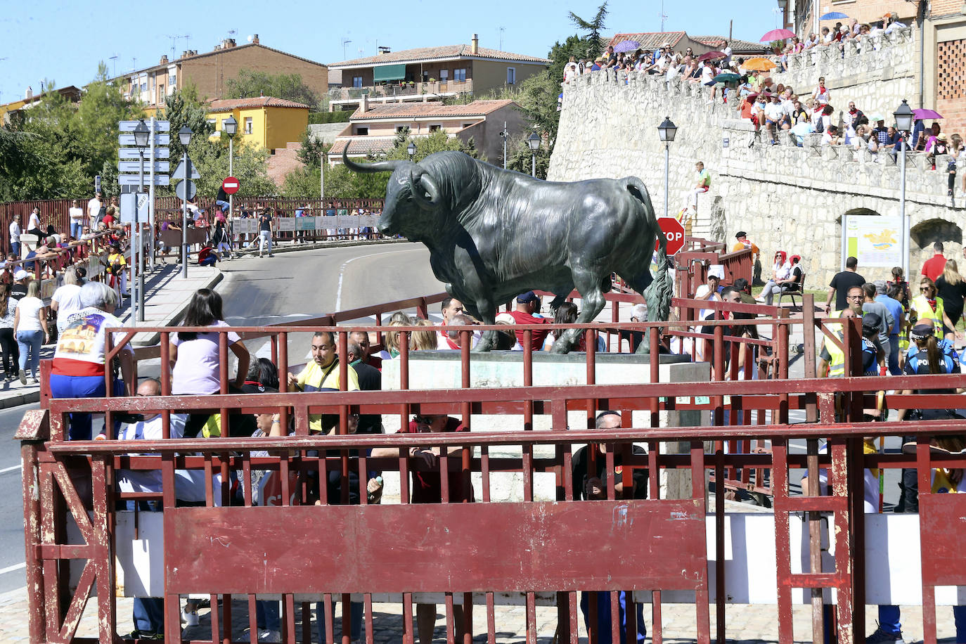 Las imágenes del toro del cajón de Tordesillas