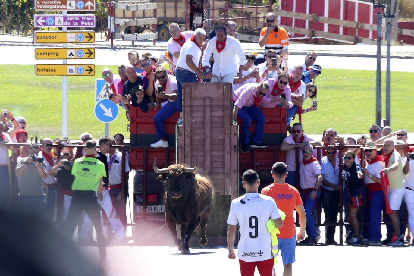 Las imágenes del toro del cajón de Tordesillas