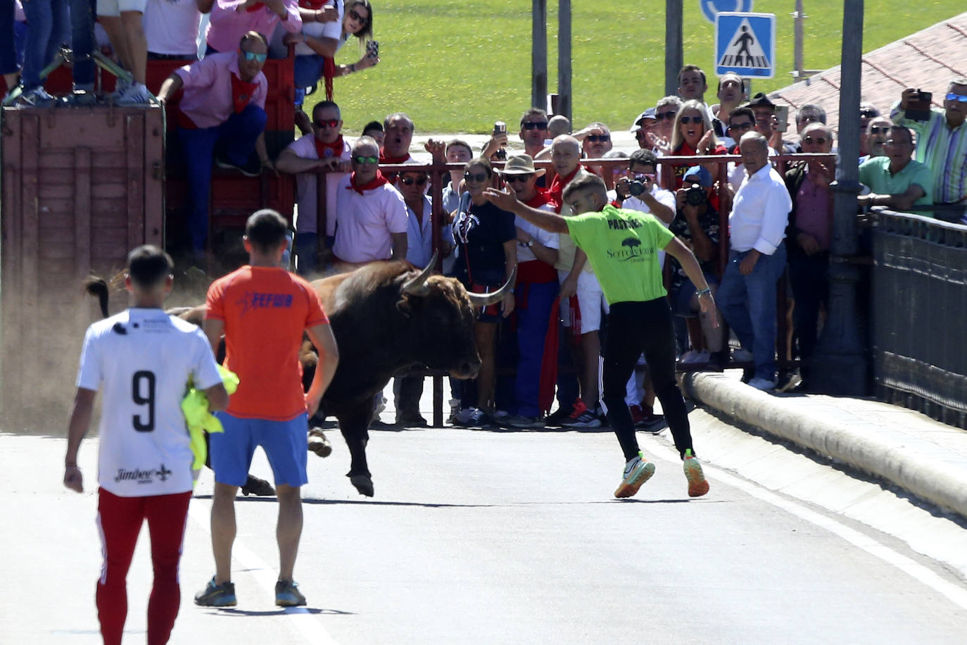 Las imágenes del toro del cajón de Tordesillas