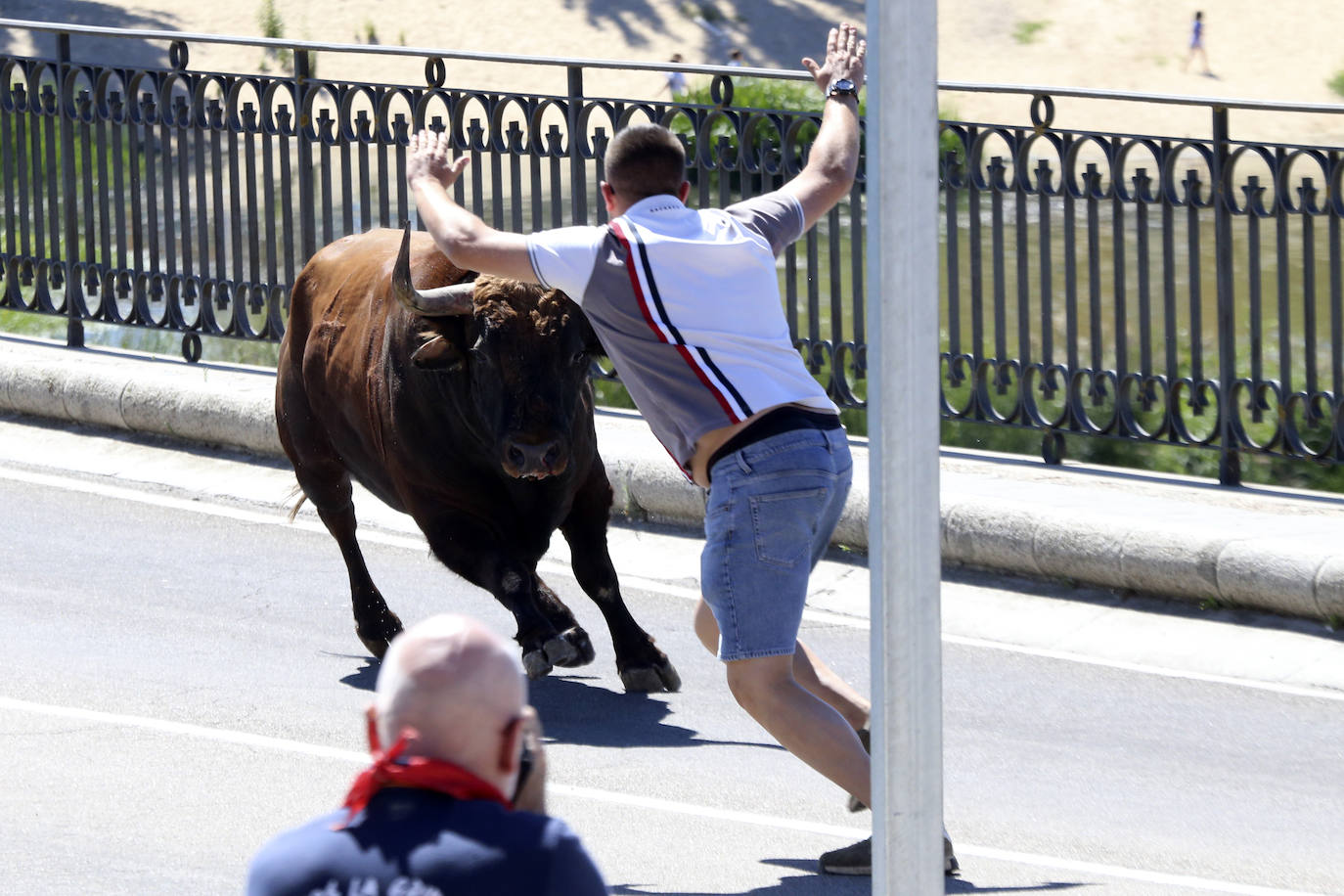 Las imágenes del toro del cajón de Tordesillas