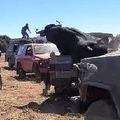 Un toro golpea a dos espectadores sobre una 'pickup' en Montemayor