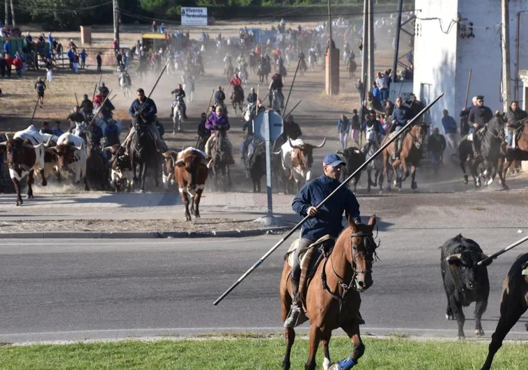 https://s3.ppllstatics.com/elnortedecastilla/www/multimedia/2024/09/16/caballo-kh0H-U2201240050240ZcB-758x531@El%20Norte.jpg