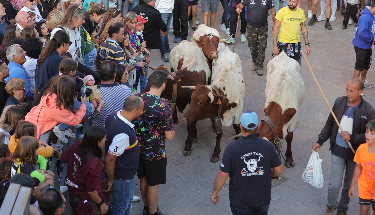 Relevo generacional por la pasión taurina en Astudillo