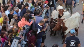 Relevo generacional por la pasión taurina en Astudillo