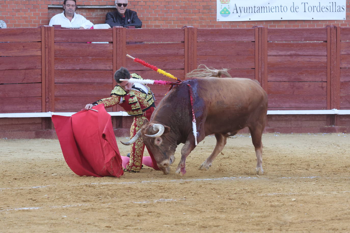 La novillada en Tordesillas, en imágenes