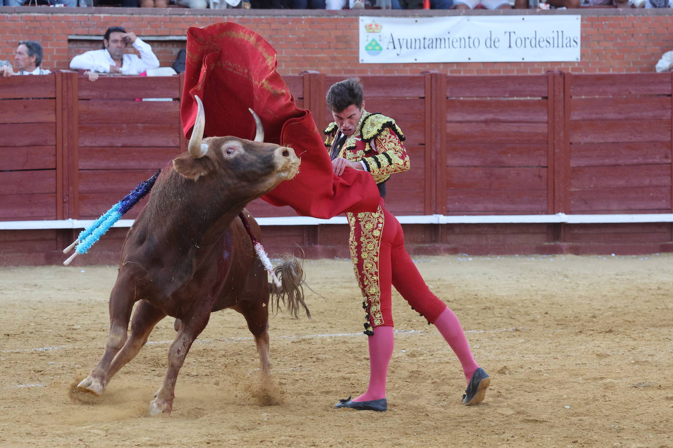 La novillada en Tordesillas, en imágenes
