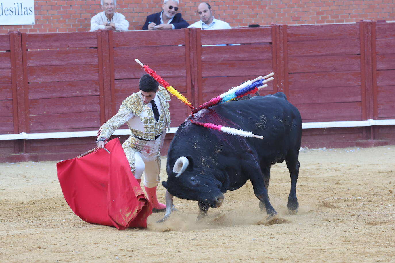La novillada en Tordesillas, en imágenes