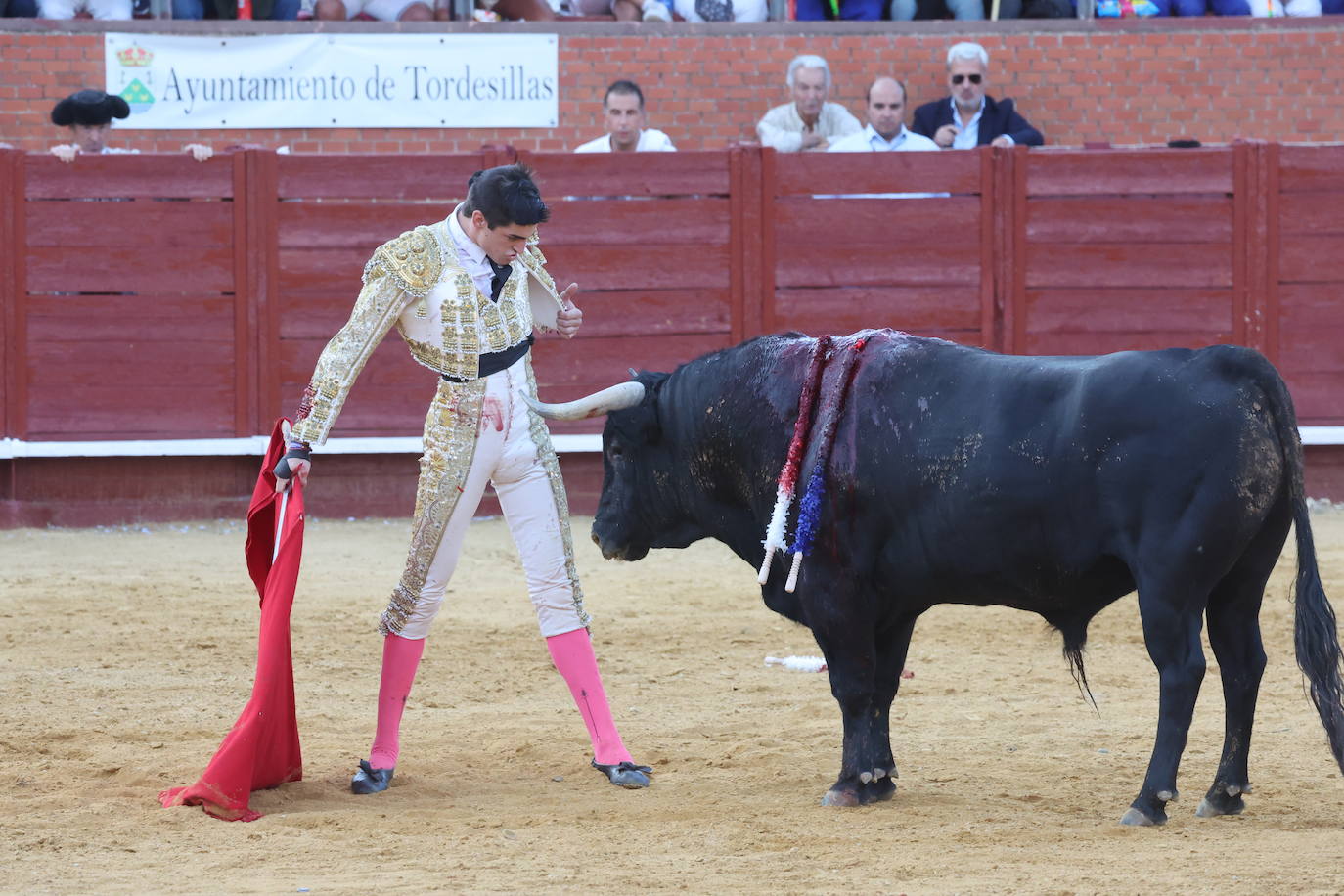 La novillada en Tordesillas, en imágenes