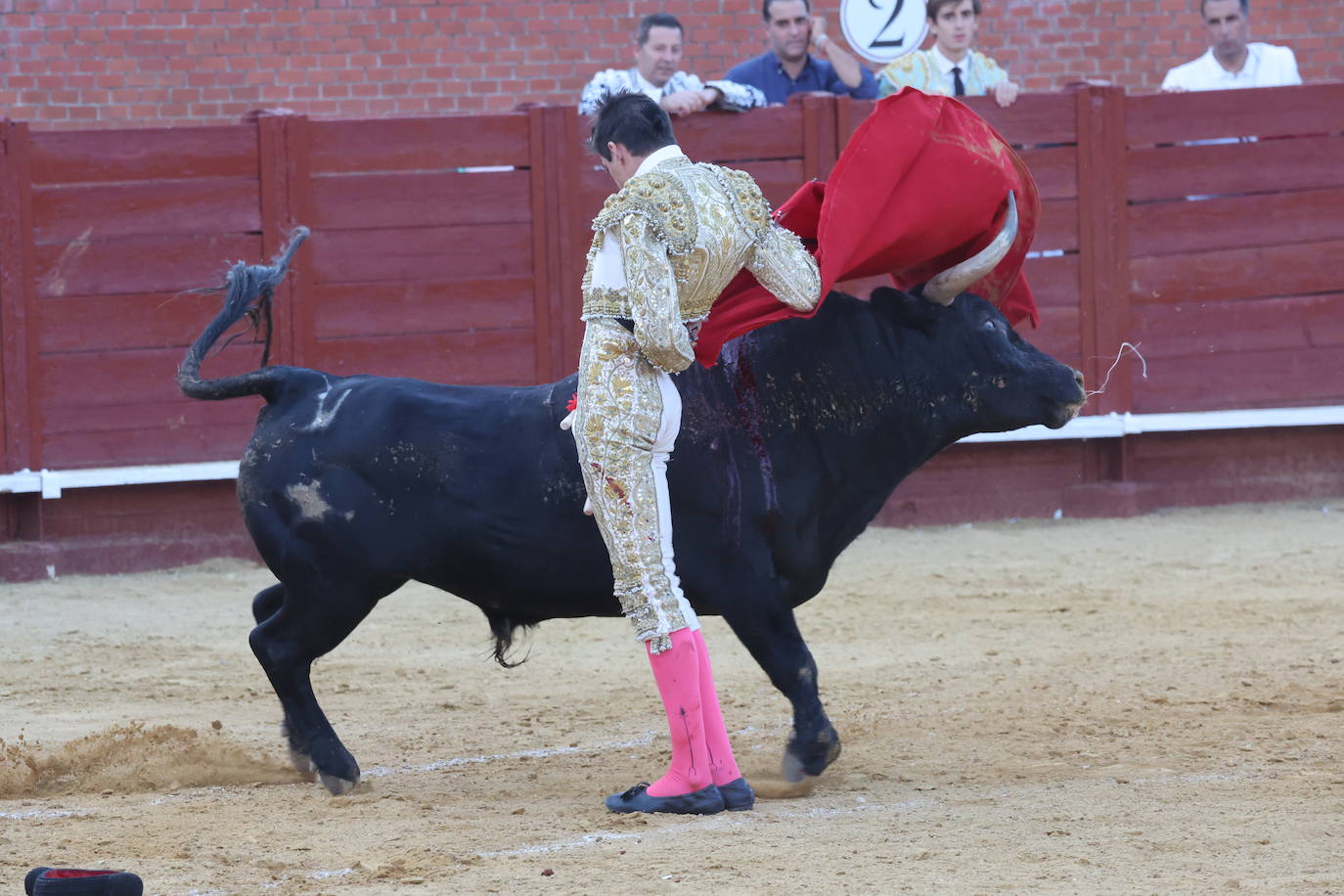 La novillada en Tordesillas, en imágenes