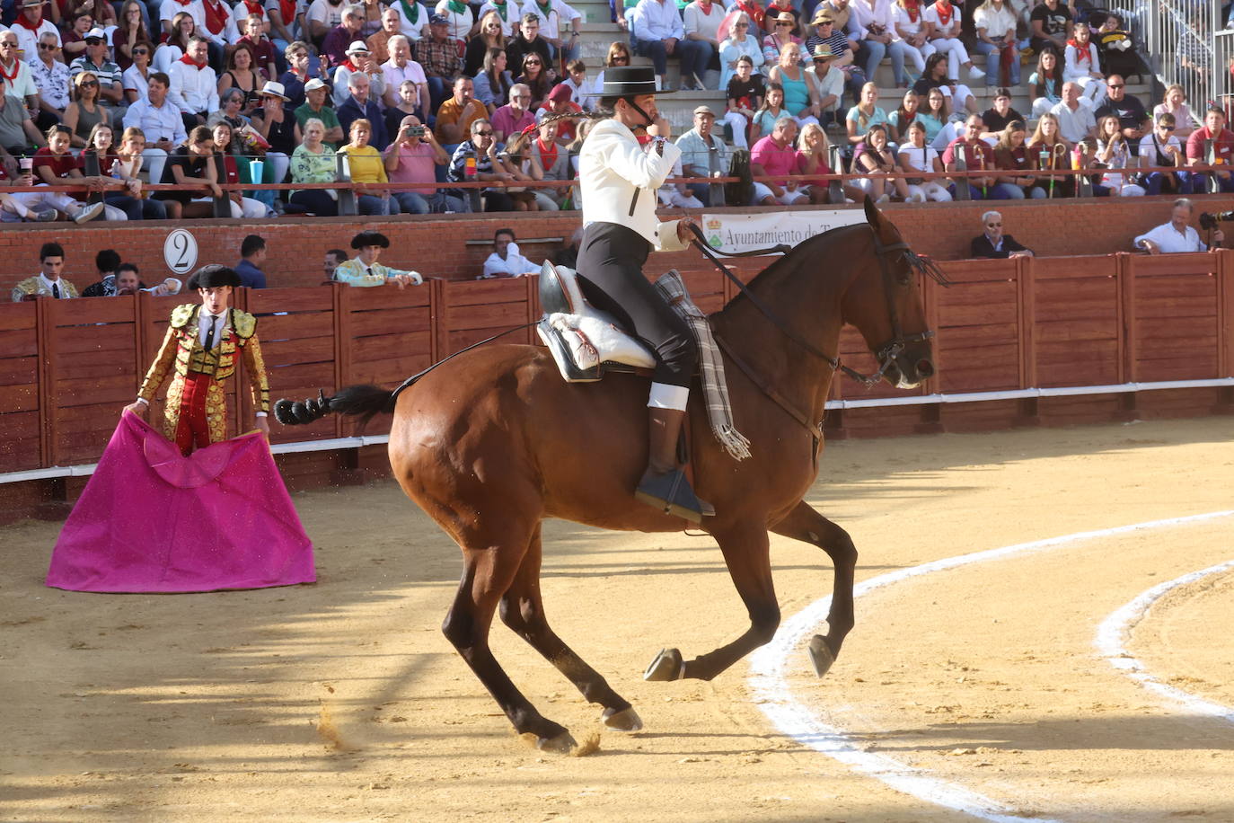 La novillada en Tordesillas, en imágenes