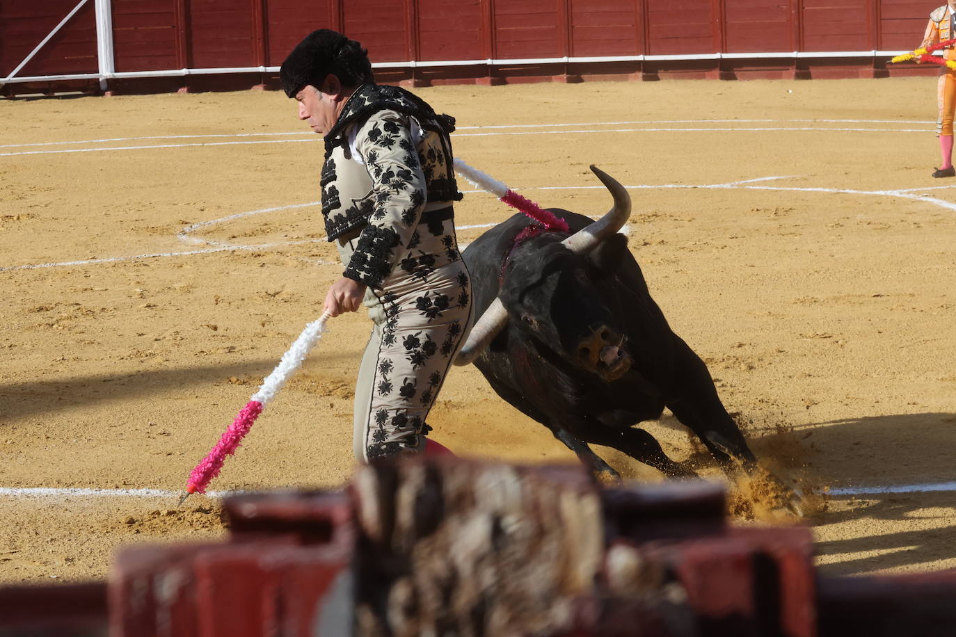 La novillada en Tordesillas, en imágenes