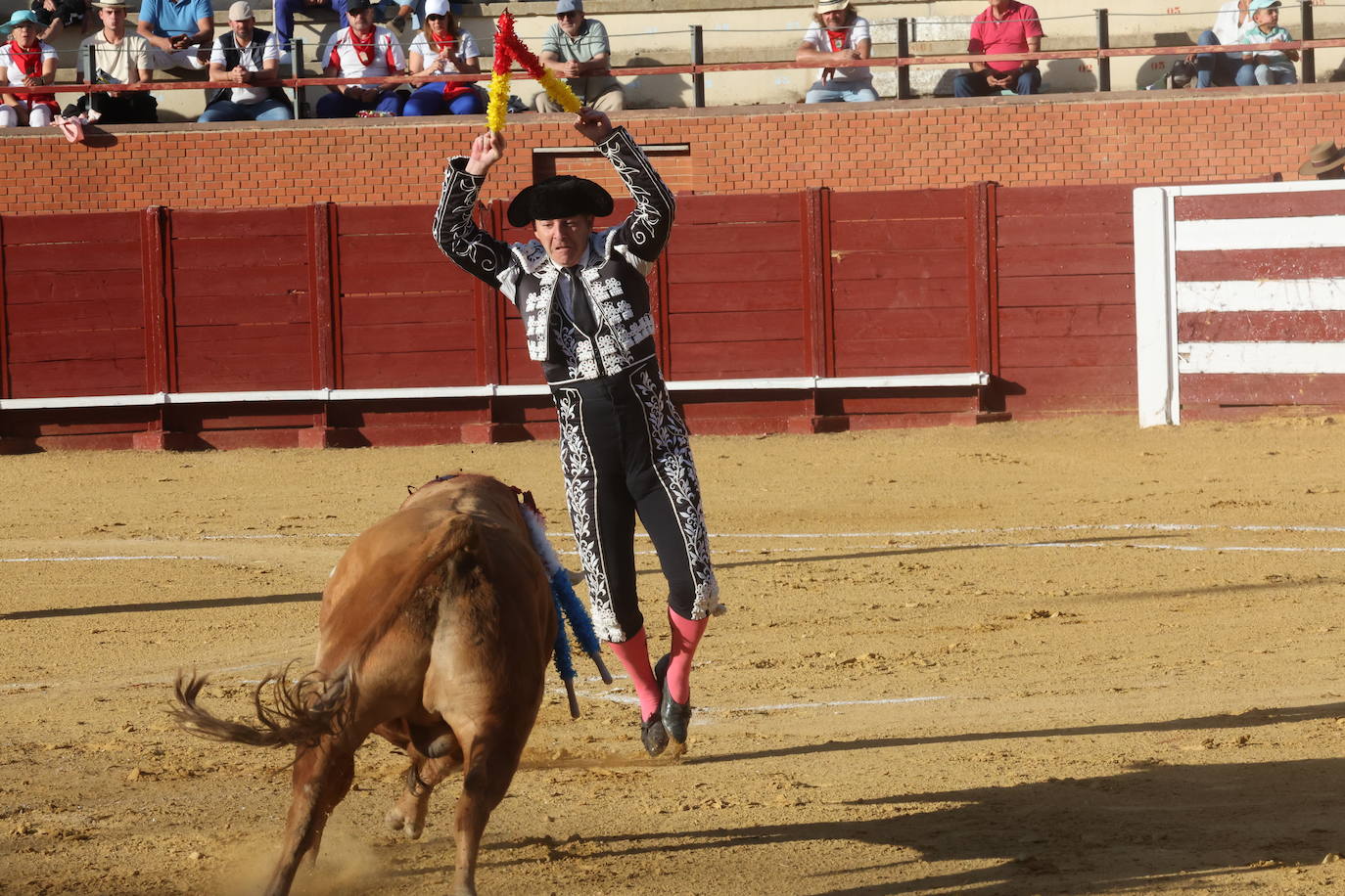 La novillada en Tordesillas, en imágenes