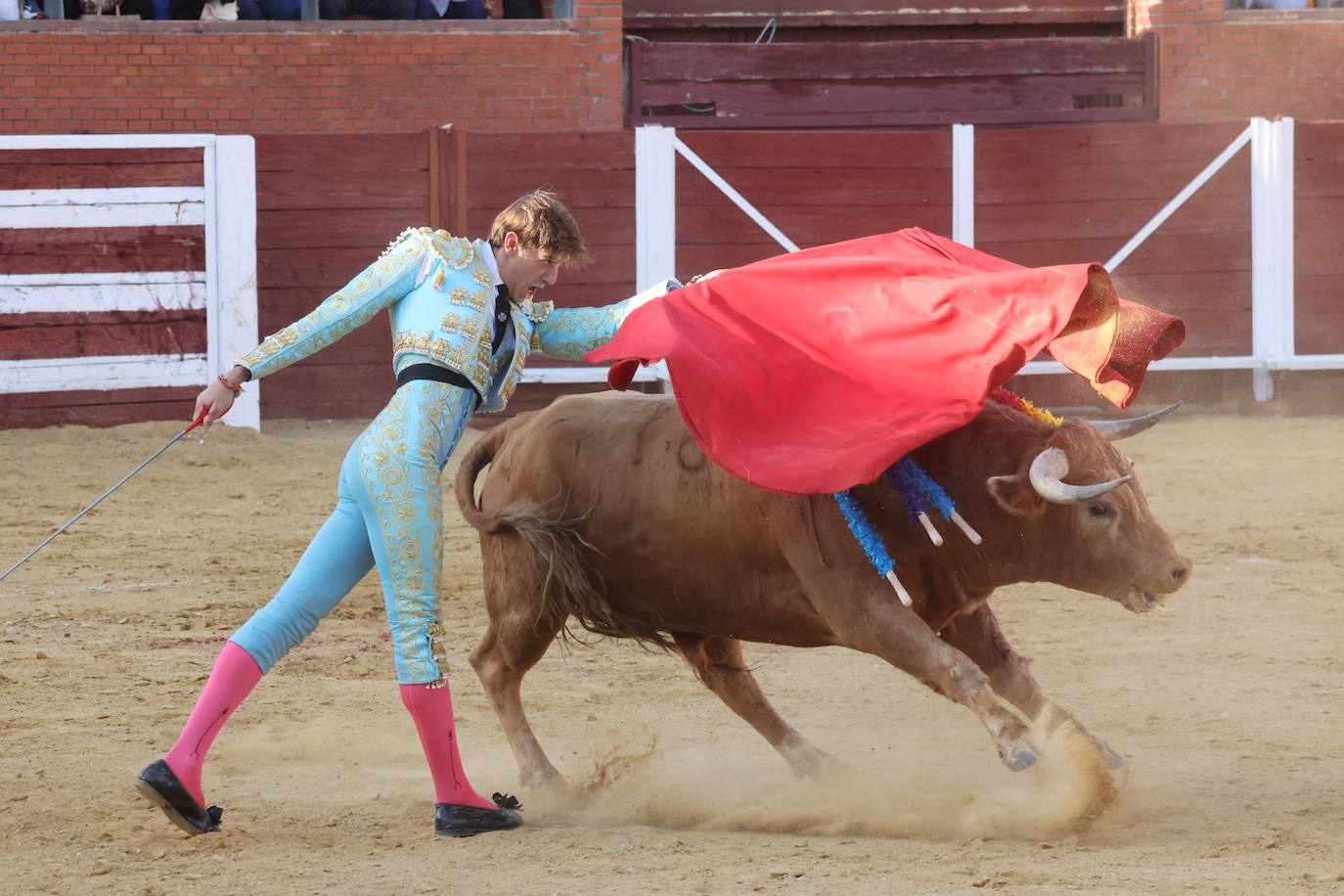 La novillada en Tordesillas, en imágenes