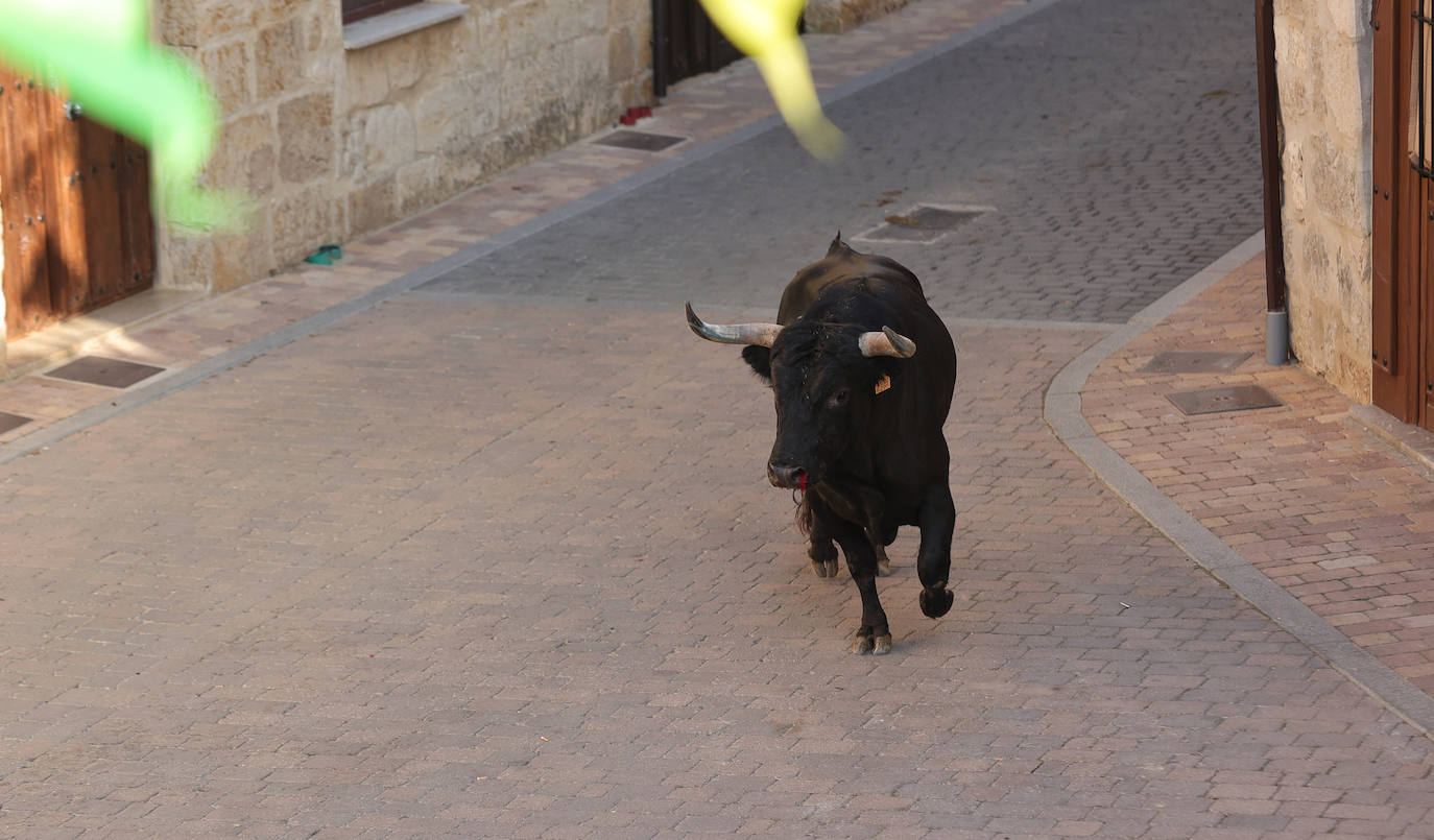 Astudillo vive el Toro del Pueblo