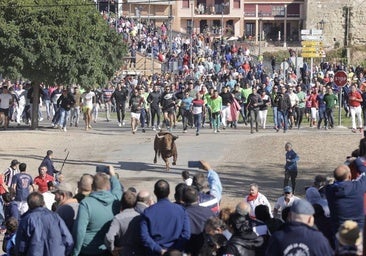 Un complicado Toro de la Vega deja dos heridos tras más de una hora de festejo