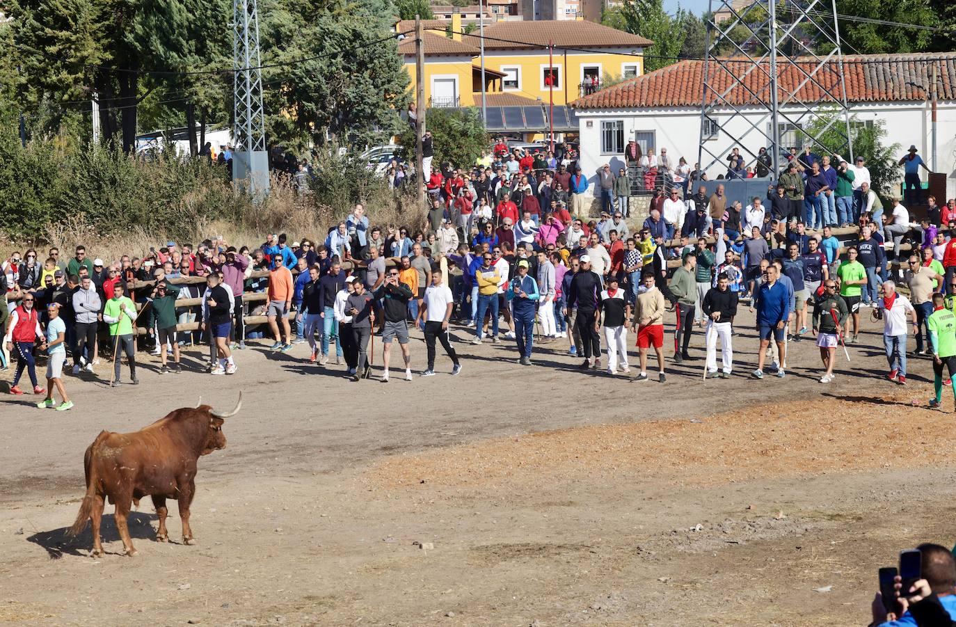 El festejo del Toro de la Vega 2024 en imágenes