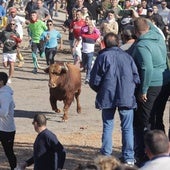 El festejo del Toro de la Vega 2024 en imágenes