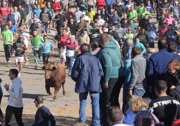 El festejo del Toro de la Vega 2024 en imágenes