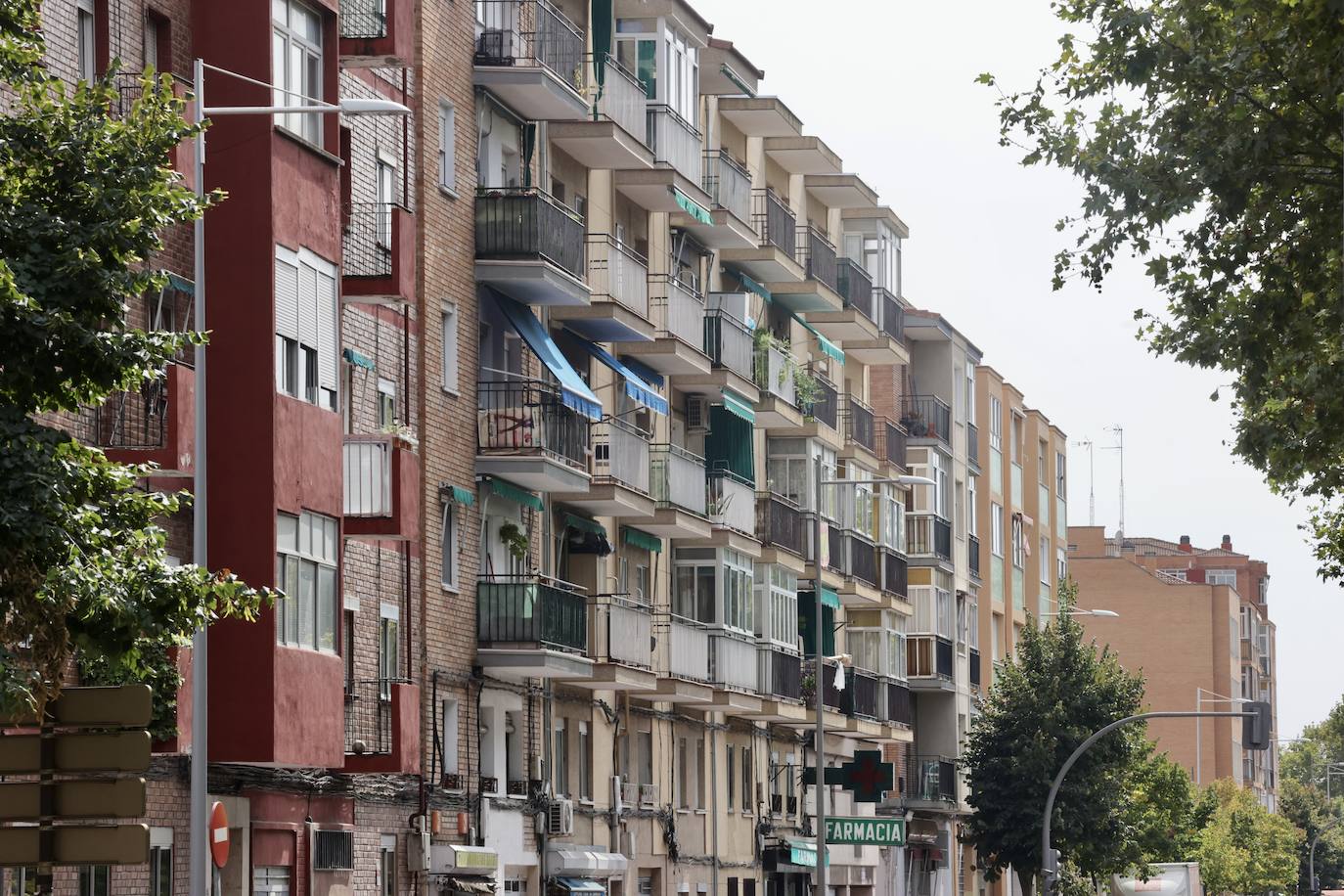 Un paseo por Arca Real en imágenes