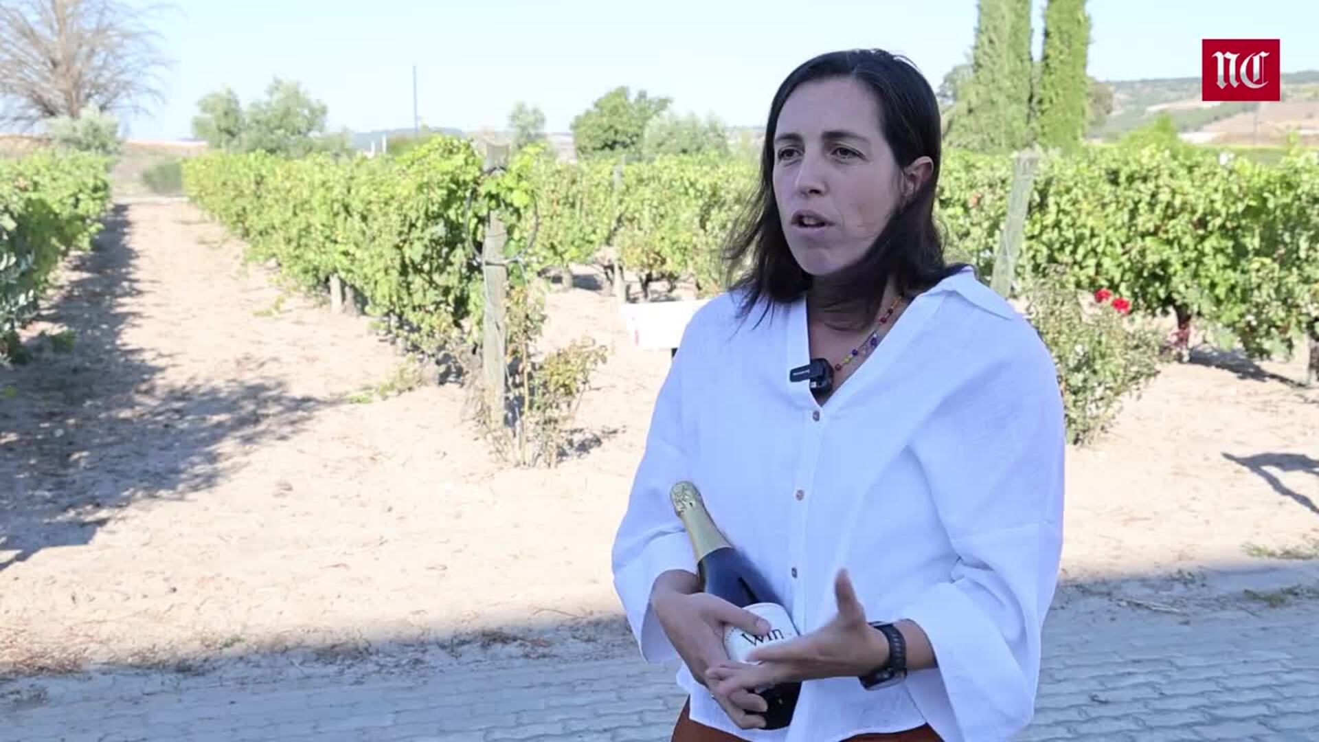 Todo lo que hay que saber de los vino sin alcohol