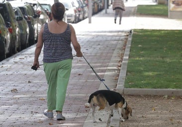 Arca Real, la extensa calle de Valladolid que conserva casas molineras