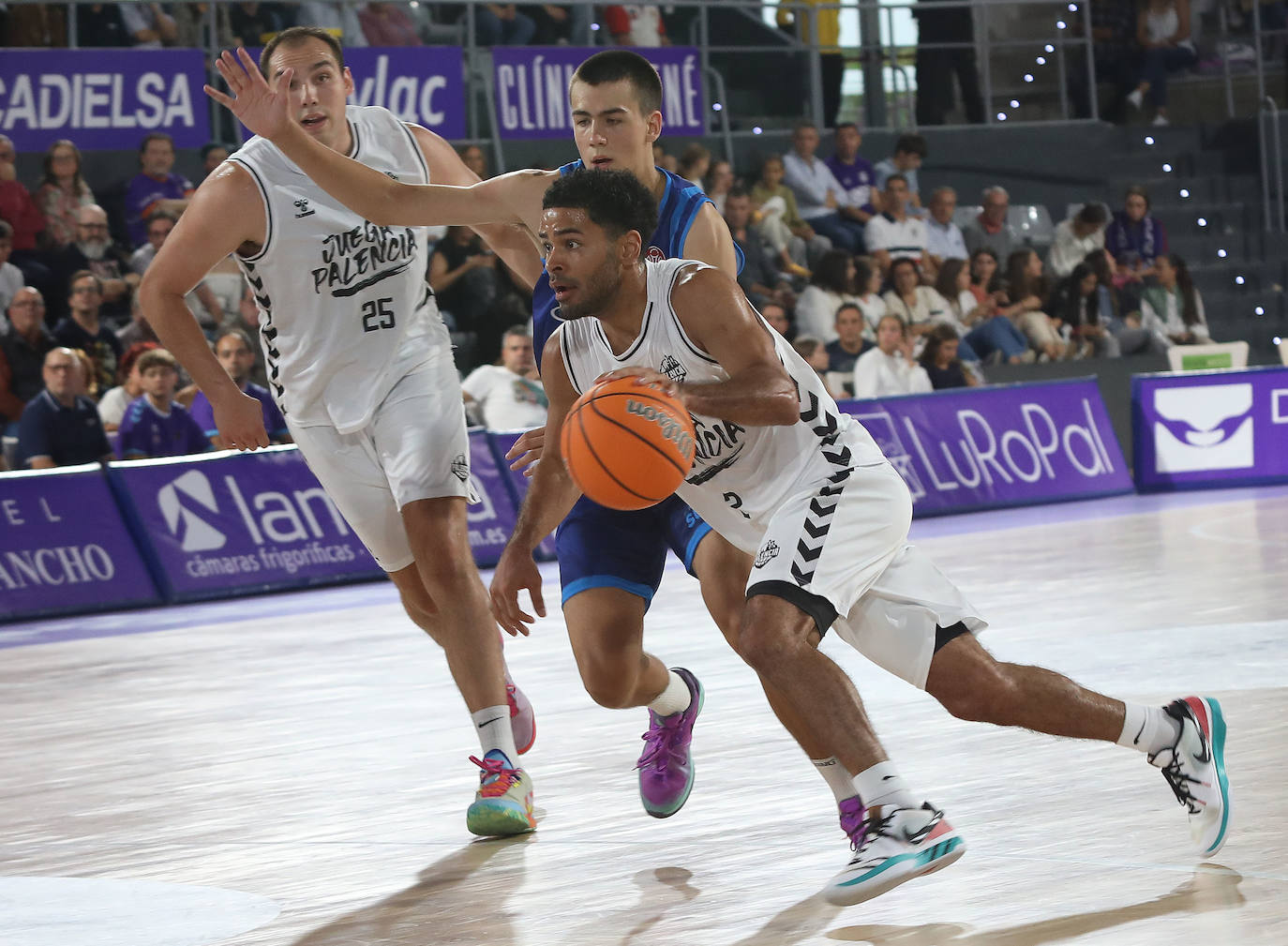 El Palencia Baloncesto arrasa al filial del Gran Canaria