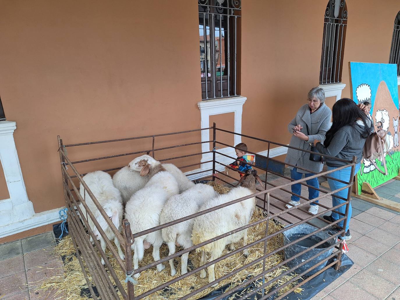 Imágenes del Mercado del Queso de Villalón de Campos