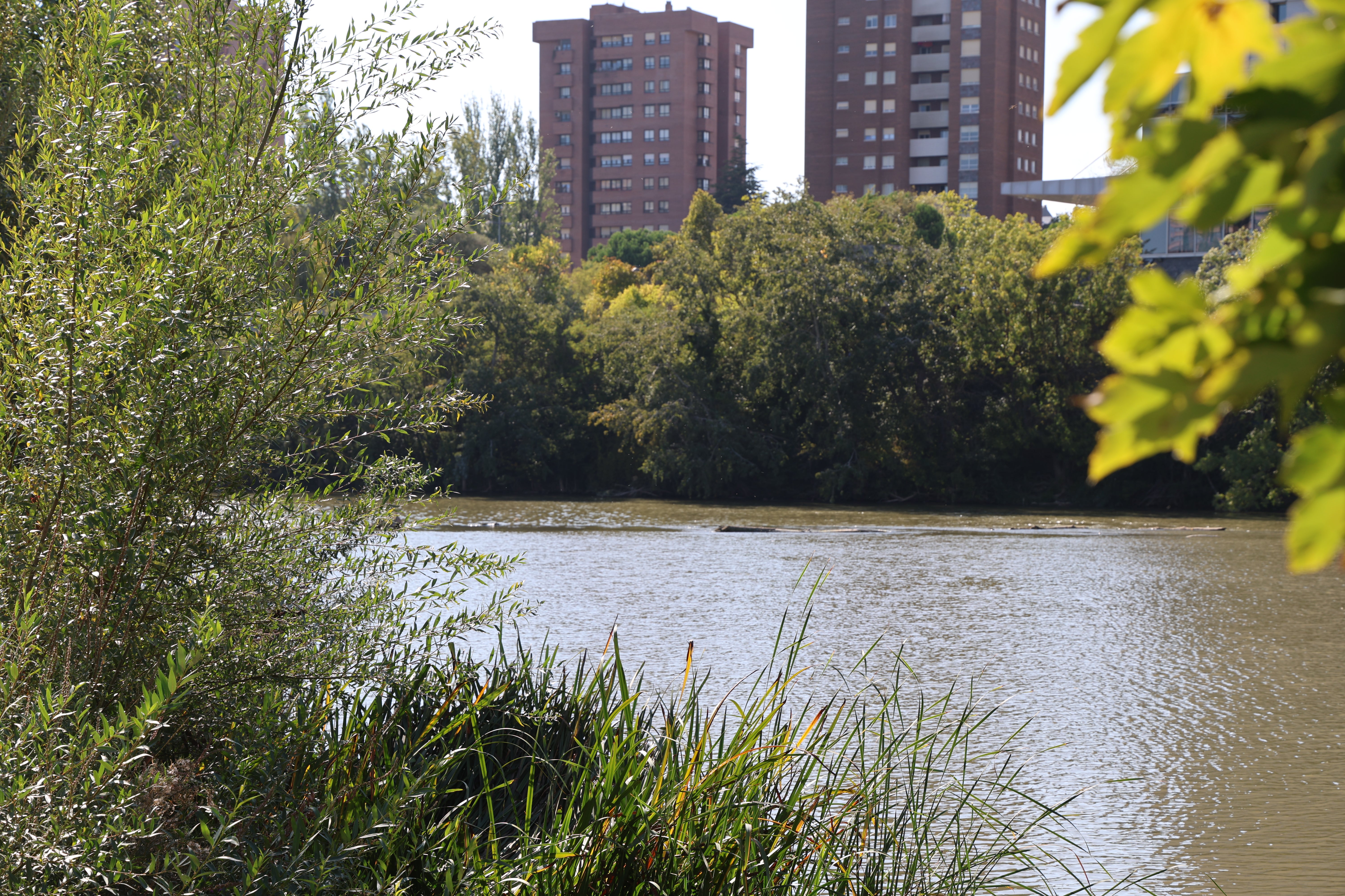 Ocho rincones que se esconden en las aguas del Pisuerga