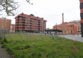 Zona posterior de la Alcoholera que se ganará como jardines públicos.