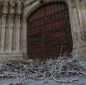 El viento destruye un nido de cigüeñas de la Catedral de Palencia