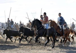 Los caballistas arropan a la manada durante el encierro.