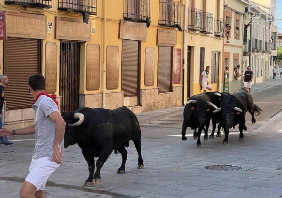 Encierro en Íscar en agosto de este año