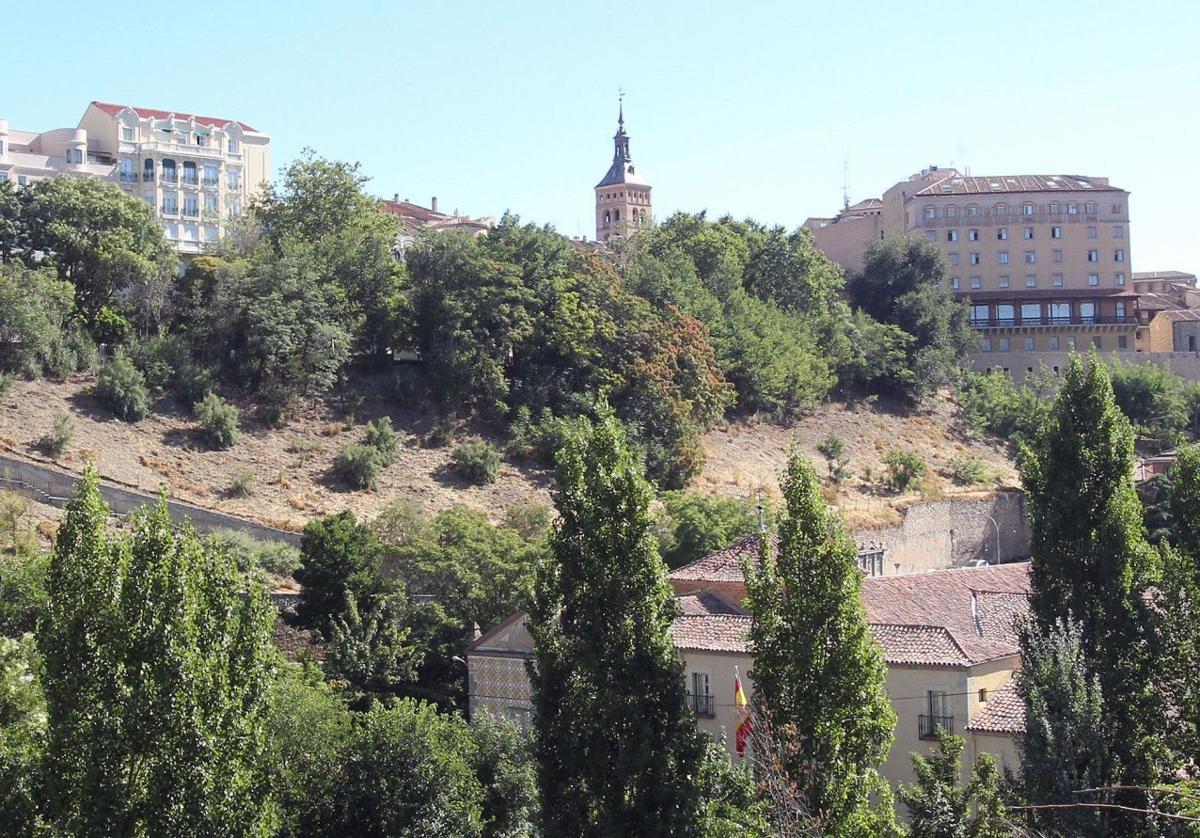 Talud entre el paseo del Salón y el paseo de Los Tilos.