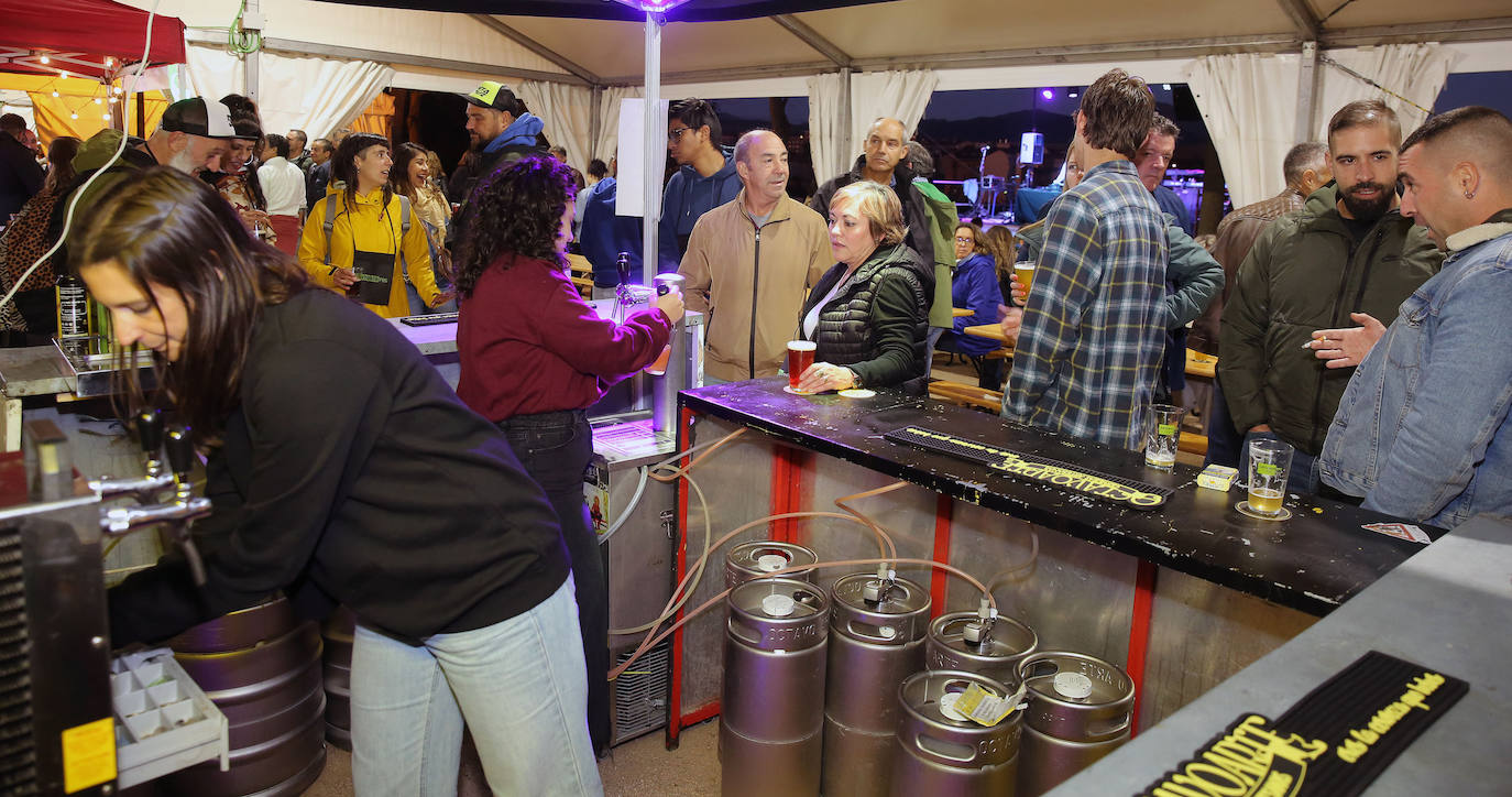 Fotos de la fiesta de la cerveza segoviana