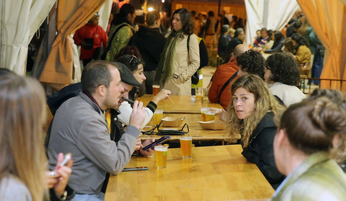 Fotos de la fiesta de la cerveza segoviana