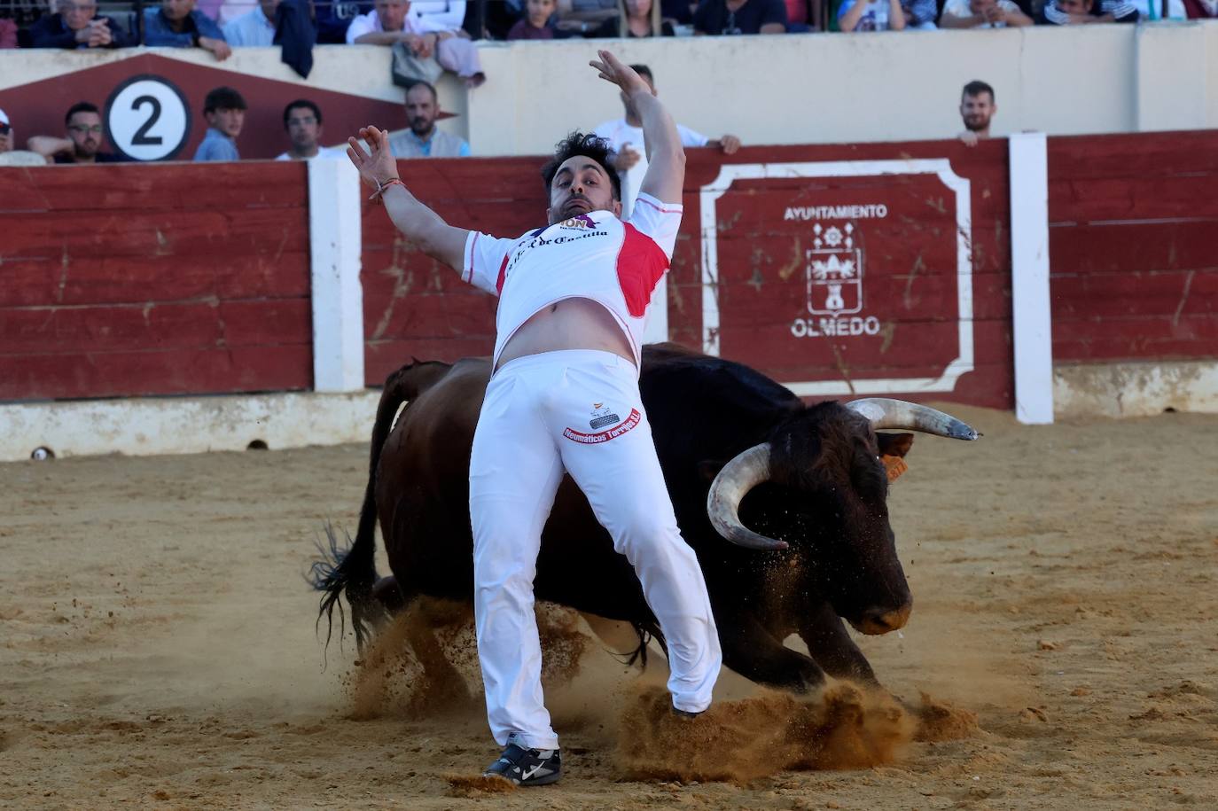 Las fotos más vibrantes del concurso de cortes del Olmedo