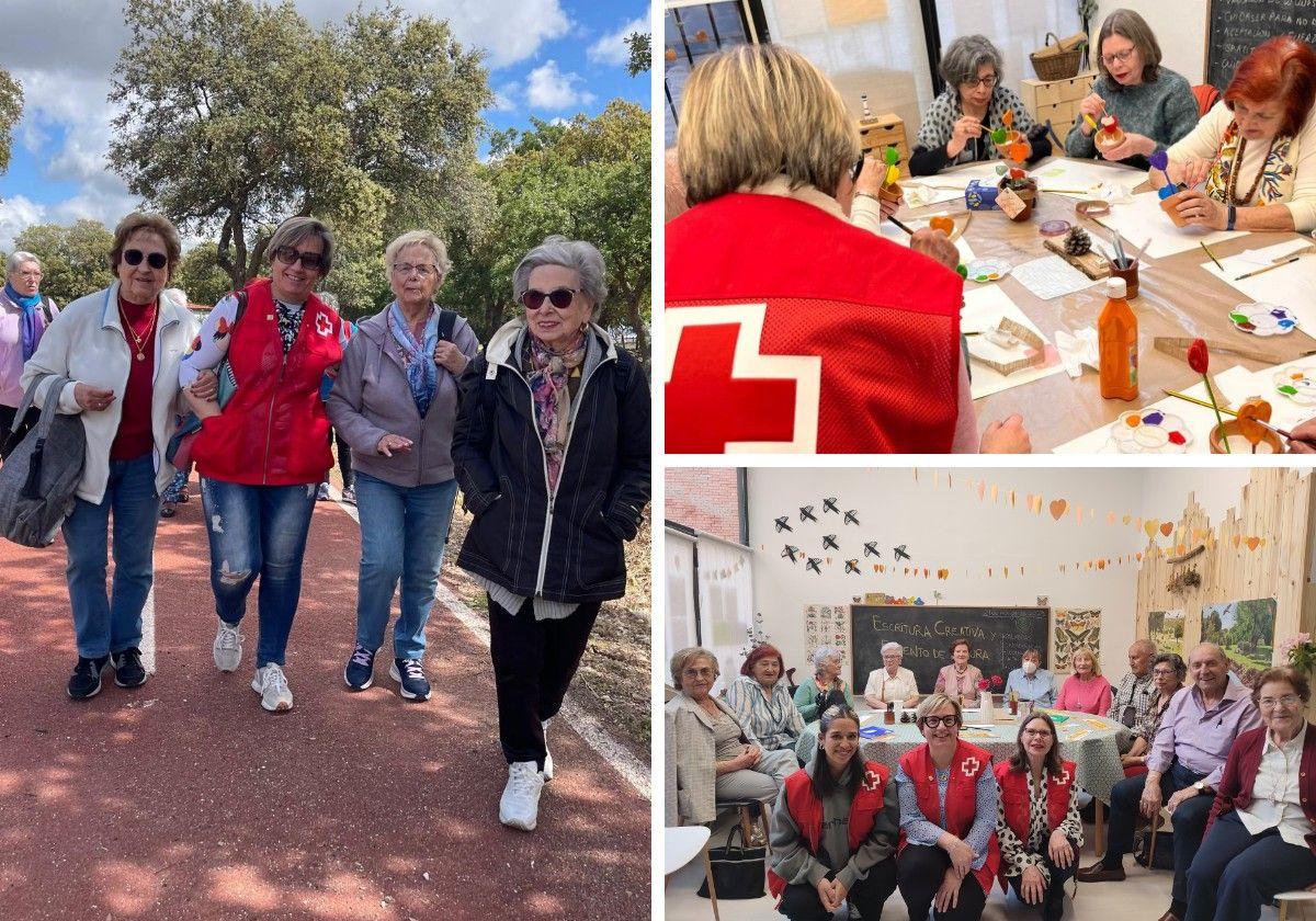 Algunas de las actividades desarrolladas por Cruz Roja en Palencia.