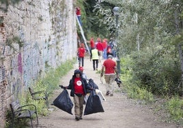 Voluntarios de AMA el Pisuerga limpian la ladera de la ribera junto al palacio del Duque de Lerma