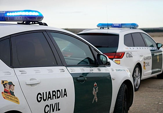 Cinco detenidos por atar y golpear a un hombre para robarle en Ávila