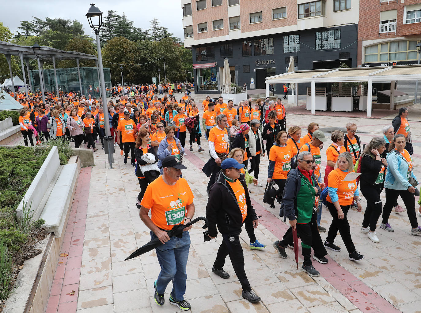 Palencia se vuelca con la Asociación Contra el Cáncer