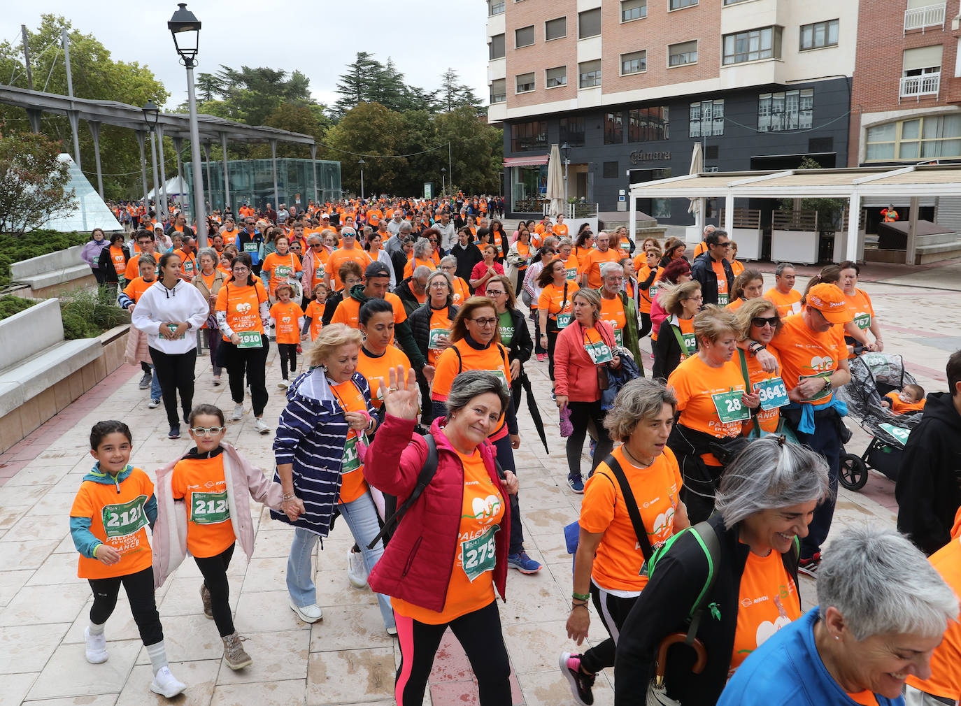 Palencia se vuelca con la Asociación Contra el Cáncer