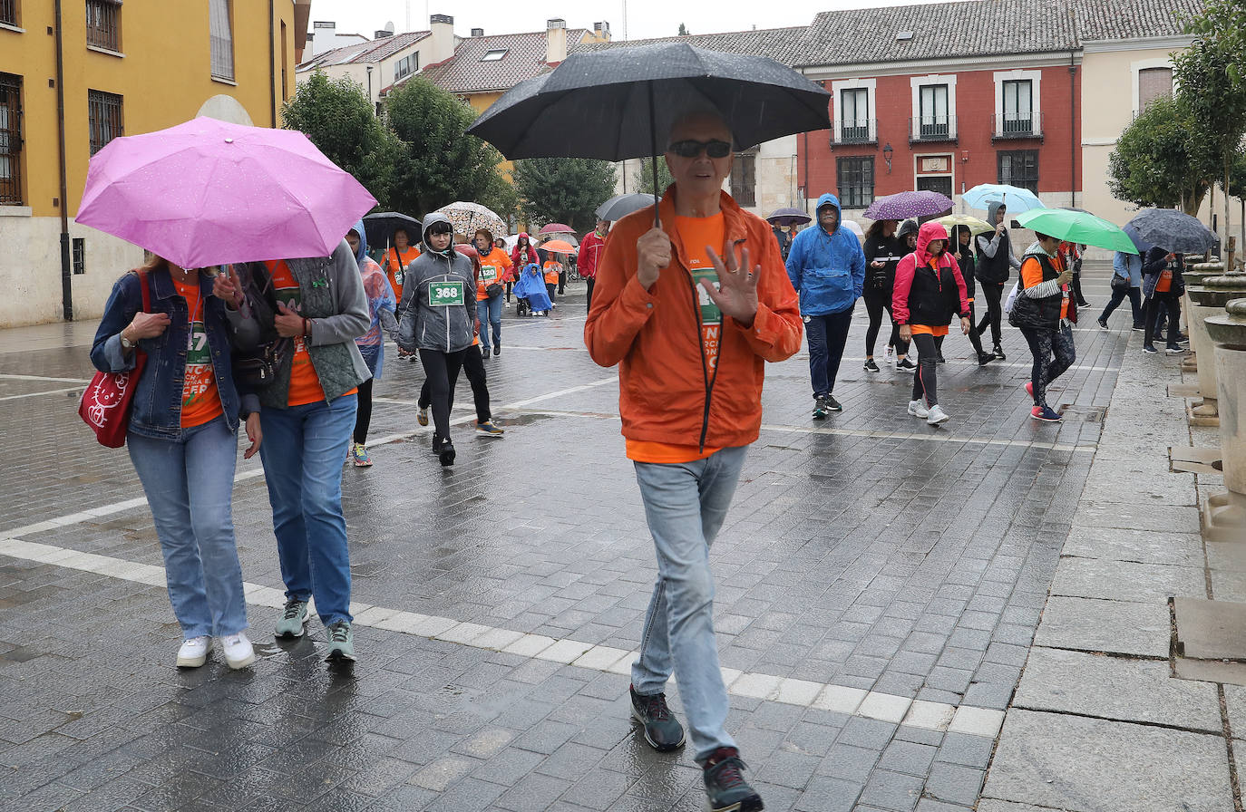 Palencia se vuelca con la Asociación Contra el Cáncer